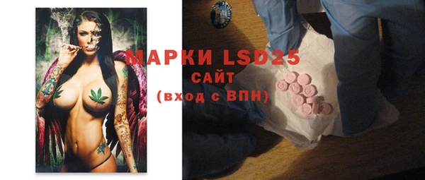 эйфоретик Алзамай