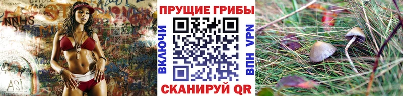 гидра Орёл Псилоцибиновые грибы Psilocybine cubensis